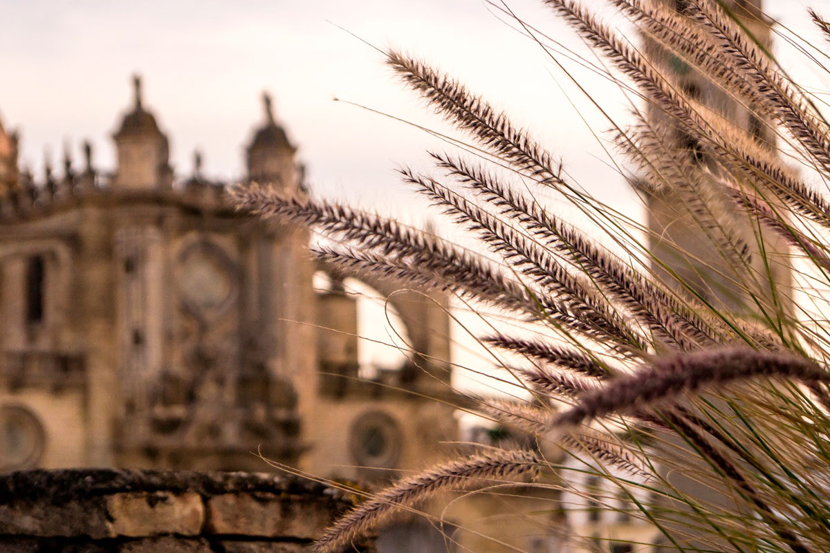 Jerez de la Frontera es una ciudad llena de vida y jolgorio