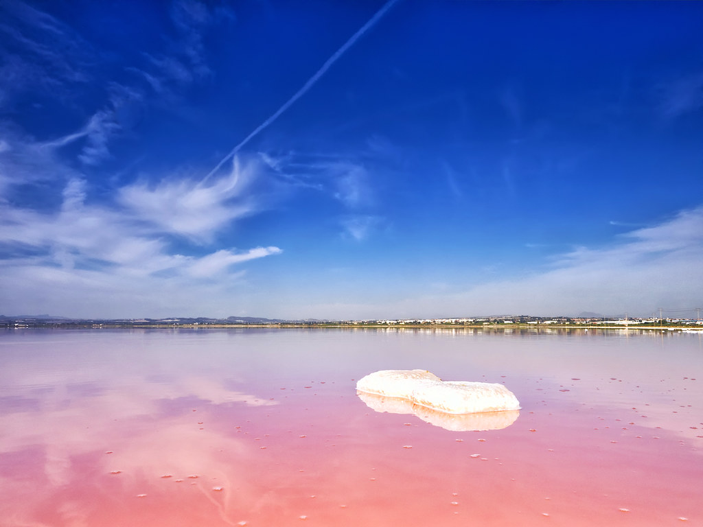 Salinas de sal en Torrevieja - BCO